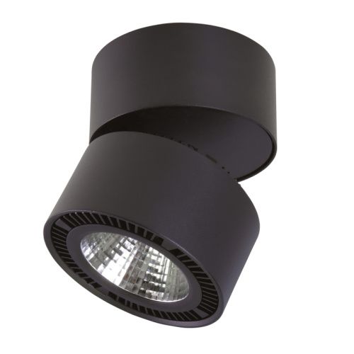 Светильник потолочный Lightstar FORTE MURO (ФОРТЕ МУРО) 213837