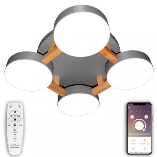 Светильник потолочный Natali Kovaltseva LED (ЛЕД) LED LAMPS 81326