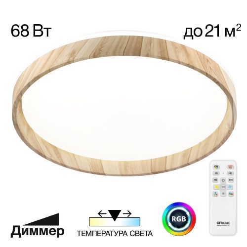 Светильник потолочный музыкальный Citilux Enzo (Ензо) CL753452G