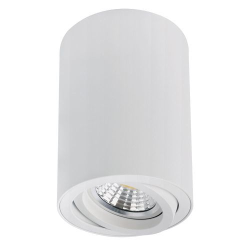 Светильник накладной Arte Lamp Sentry (Сентры) A1566PL-1WH