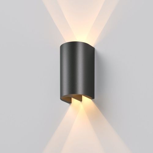 Уличный настенный светильник Elektrostandard Twinray (Твинраы) 4690389217319
