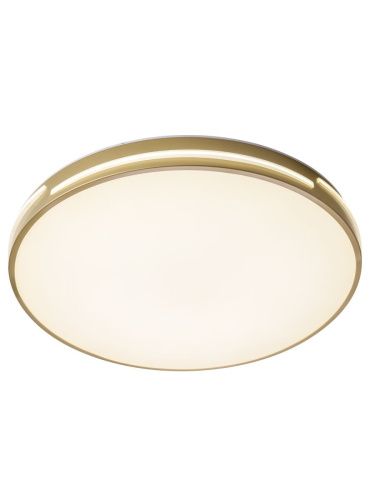 Светильник потолочный Zortes Gabby (Габбы) ZRS.90610.50