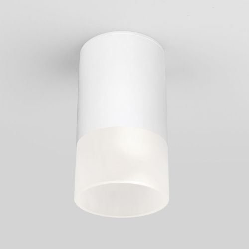 Уличный потолочный светильник Elektrostandard Light Led (Лигхт Лед) 4690389177927