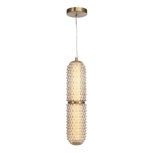 Светильник подвесной ST Luce Saguaro (Сагуаро) SL6144.303.01