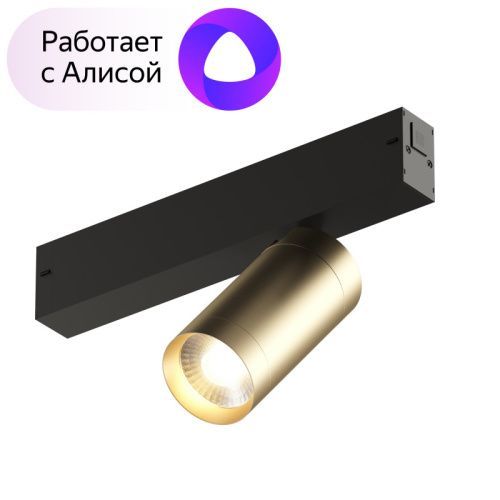 Трековый светильник Denkirs Smart Spot (Смарт Спот) DK8010-BG