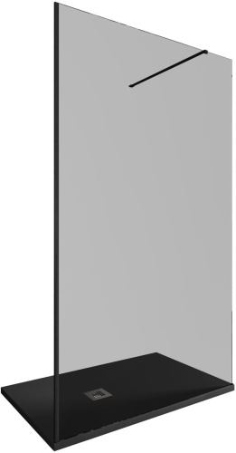 Душевая перегородка Allen Brau Infinity 3.21022.BBA.T 120х200 стекло тонированное профиль черный