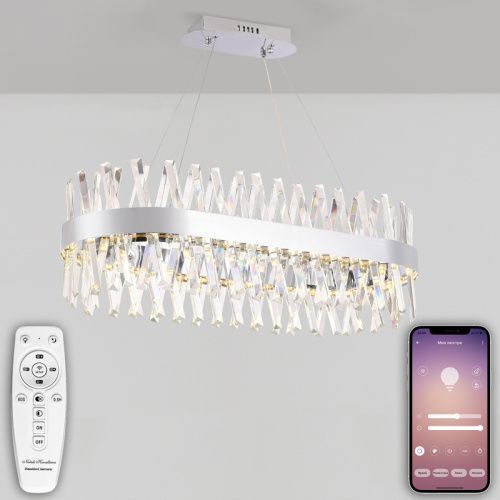 Люстра подвесная Natali Kovaltseva Alexandria (Александриа) LED LAMPS 81249