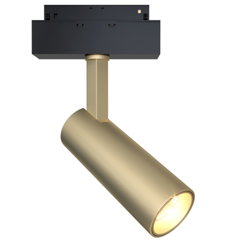Трековый светильник Maytoni Technical Focus LED (Фокус) TR019-2-10W4K-MG