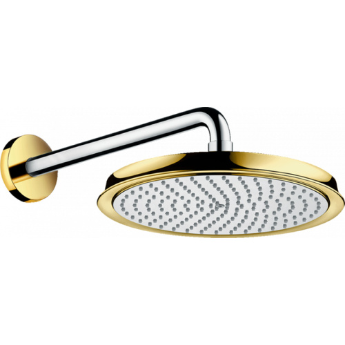 Верхний душ Hansgrohe Raindance 27424090 25х25 хром