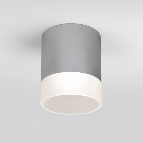 Уличный потолочный светильник Elektrostandard Light Led (Лигхт Лед) 4690389177965