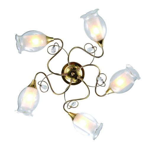 Люстра потолочная Arte Lamp Mughetto (Мугхетто) A9289PL-5GO