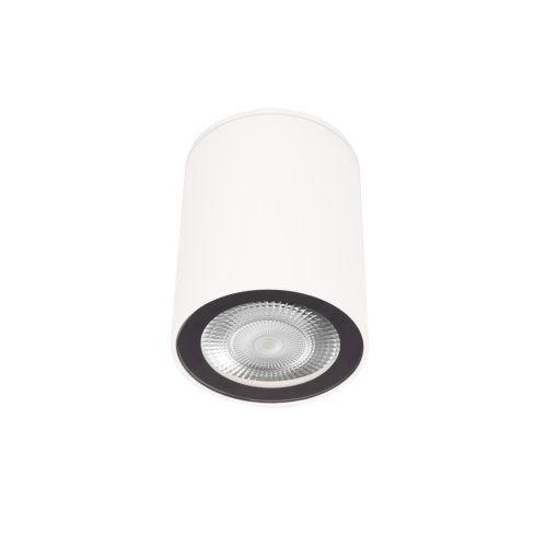 Светильник накладной Loft It Rush 10344 White