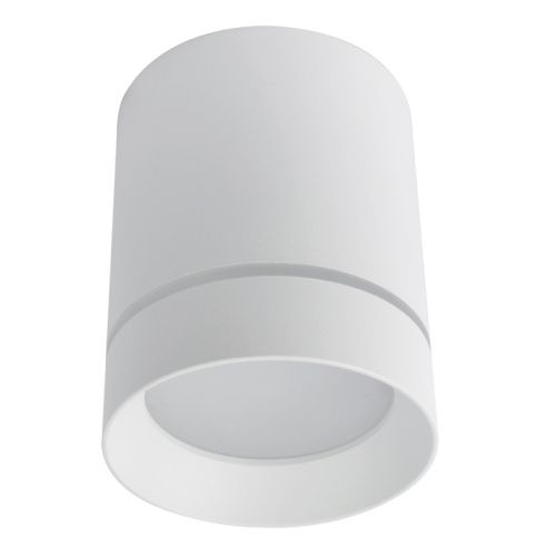 Светильник накладной Arte Lamp Elle (Елле) A1949PL-1WH