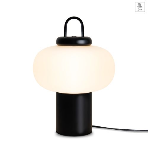 Светильник настольный Freya Take FR6175TL-L10B