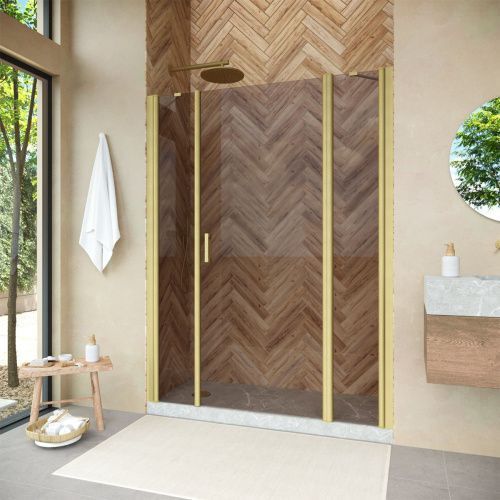 Душевая дверь Vegas-Glass EP-2F NOVO EP-2F NOVO 205 03 05 R 205х190 стекло тонированное профиль золото