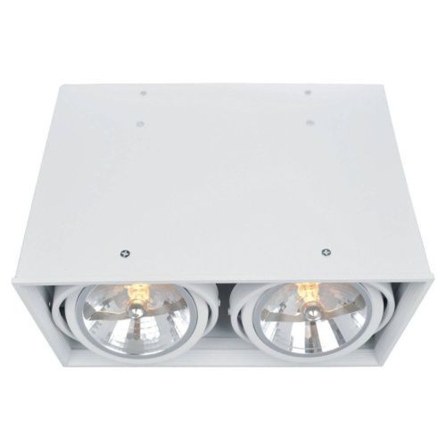 Светильник накладной Arte Lamp Cardani (Цардани) A5936PL-2WH