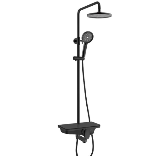 Душевая стойка WeltWasser  WW DP 1020 BL (10000003186) настенная цвет черный