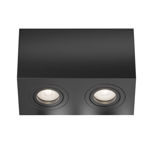 Светильник потолочный Maytoni Technical Atom C017CL-02B