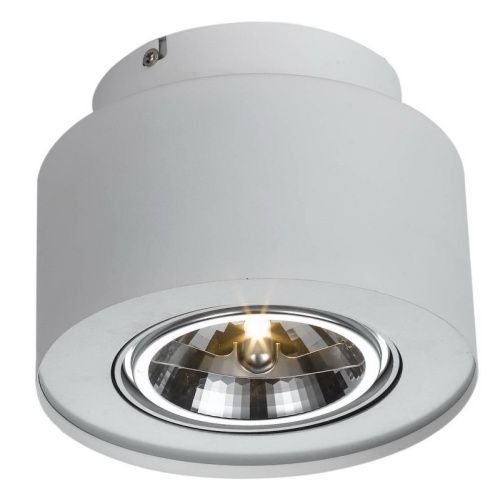 Светильник накладной Arte Lamp Cliff (Цлифф) A5643PL-1WH