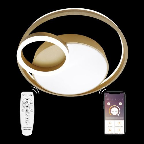 Люстра потолочная Natali Kovaltseva LED LAMPS (ЛЕД ЛАМПС) LED LAMPS 81305