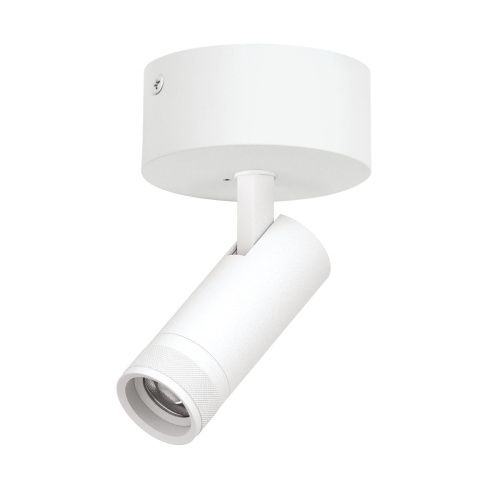 Светильник накладной Lightstar Canno Pro (Цанно Про) C4126SO
