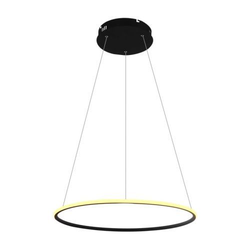 Светильник подвесной Arte Lamp Rapid (Рапид) A2500SP-1BK