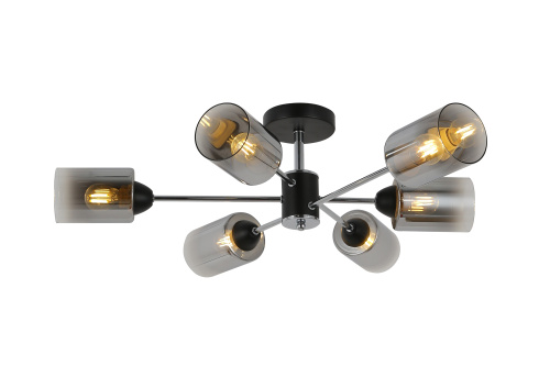 Люстра потолочная Freya Omni (Омни) FR5150PL-06B