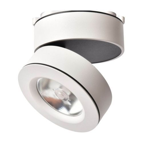 Спот светодиодный Arte Lamp Vela (Вела) A2511PL-1WH