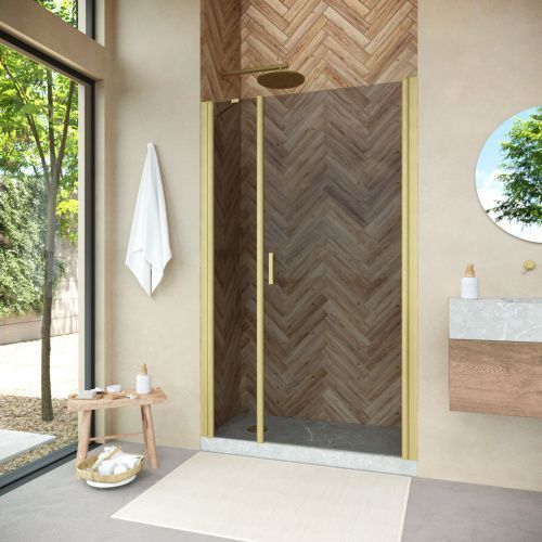 Душевая дверь Vegas-Glass EP-F-2 NOVO EP-F-2 NOVO 100 03 07 R 100х190 стекло тонированное профиль золото