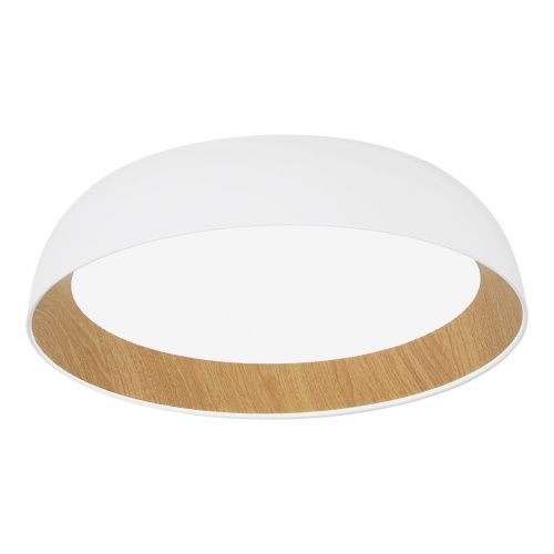 Светильник потолочный Evoluce Muse (Мусе) SLE1812-502-01