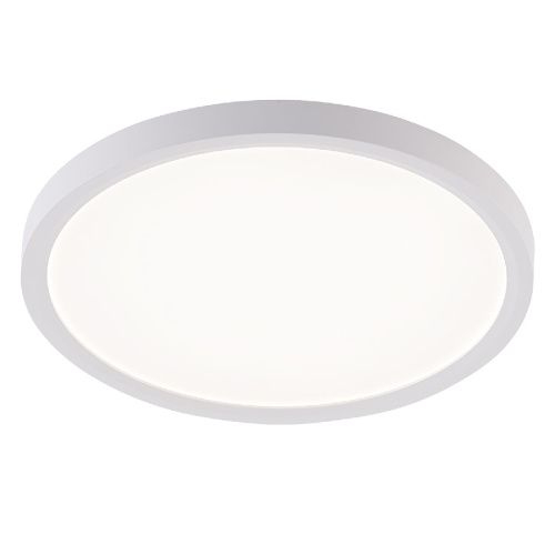 Светильник потолочный Natali Kovaltseva Plain (Плаин) LED LAMPS 81113/2C