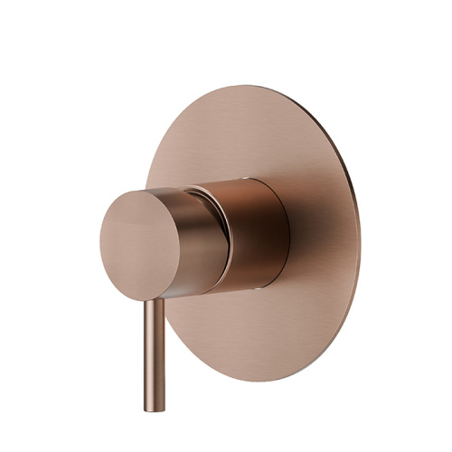 Смеситель для душа Newform X-STEEL 316 69675EX.59.067 встраиваемый в стену медь без термостата