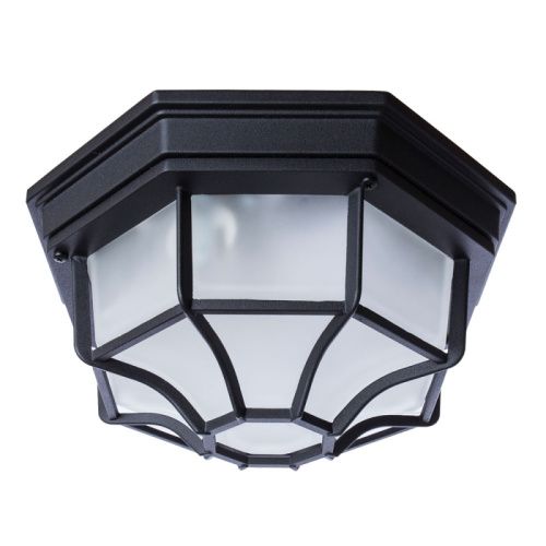 Уличный потолочный светильник Arte Lamp Pegasus (Пегасус) A3100PL-1BK
