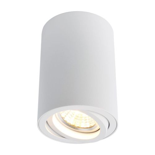 Светильник потолочный Arte Lamp Sentry (Сентры) A1560PL-1WH
