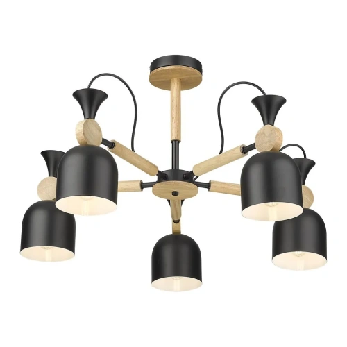 Светильник потолочный Velante 225-023-05