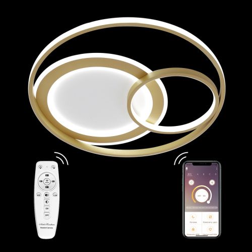 Люстра потолочная Natali Kovaltseva LED LAMPS (ЛЕД ЛАМПС) LED LAMPS 81312