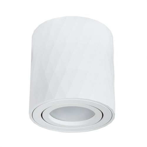 Светильник накладной Arte Lamp Fang (Фанг) A5559PL-1WH