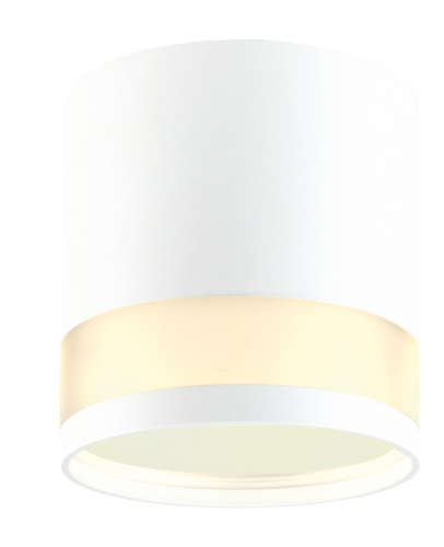 Светильник накладной EKS Art Glass (Арт Гласс) ЦБ-00010276