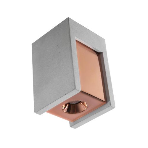 Светильник накладной Loft It Architect OL1073-GG