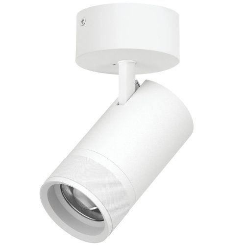 Светильник накладной Lightstar Canno Pro (Цанно Про) C4406SO