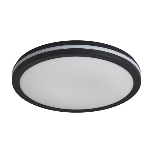 Светильник потолочный Freya Rua (Руа) FR6160CL-L40B