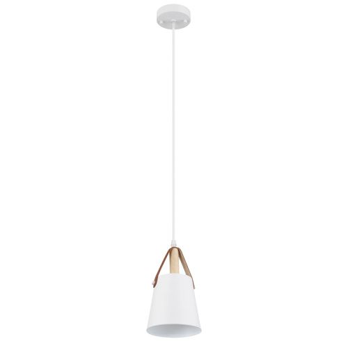 Светильник подвесной Arte Lamp Thomas (Тхомас) A7032SP-1WH