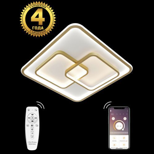Люстра потолочная Natali Kovaltseva LED LAMPS (ЛЕД ЛАМПС) LED LAMPS 81313