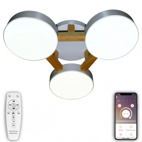 Светильник потолочный Natali Kovaltseva LED (ЛЕД) LED LAMPS 81327