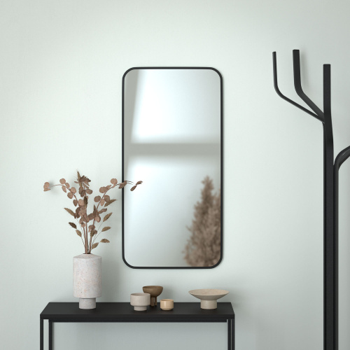 Зеркало в ванную Evoform Colora BY 0435 50x100