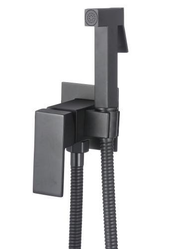Смеситель с гигиеническим душем D-Lin D183201-A настенный черный