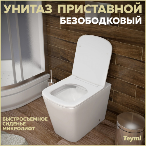 Унитаз Teymi Helmi T40108 приставной