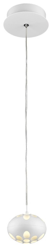 Светильник подвесной Wertmark Augen WE438.01.006