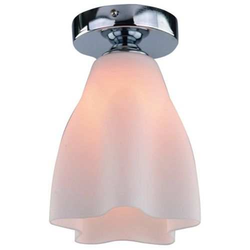 Светильник накладной Arte Lamp Canzone (Цанзоне) A3469PL-1CC
