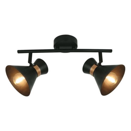Спот Arte Lamp Baltimore (Балтиморе) A1406AP-2BK